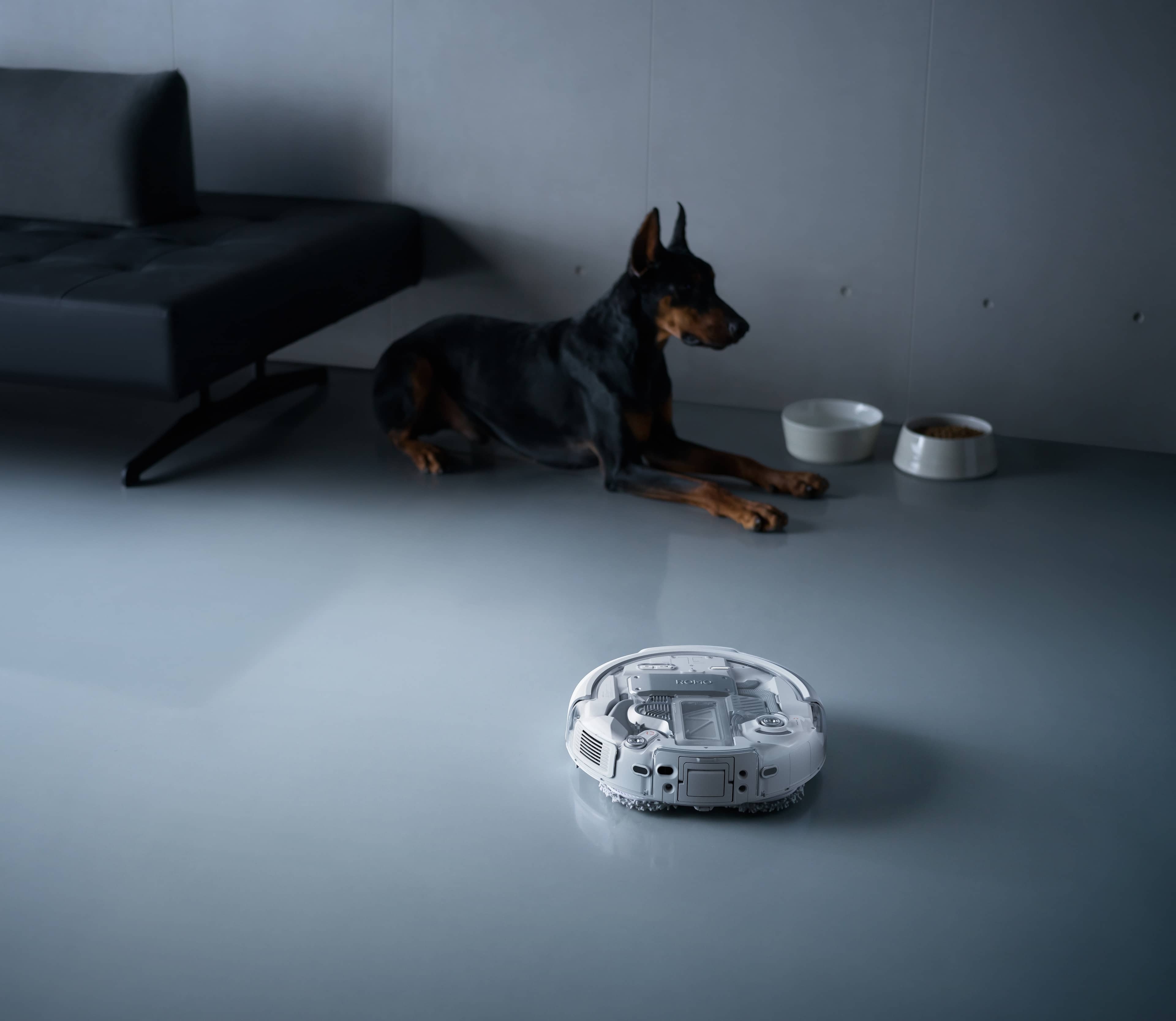 DJI ROMO P (Water Tank Version) neben einem Hund auf dem Boden mit Futternapf im Hintergrund.